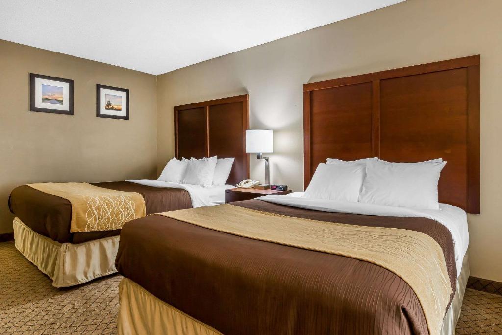 Comfort Inn & Suites Mishawaka-South Bend - image 6