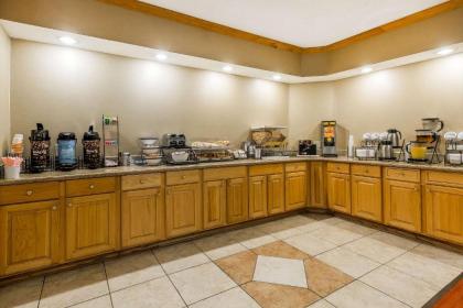 Comfort Inn & Suites Mishawaka-South Bend - image 8