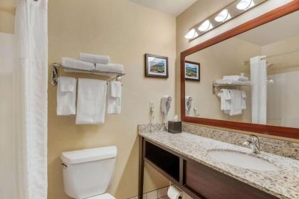 Comfort Inn University - image 10