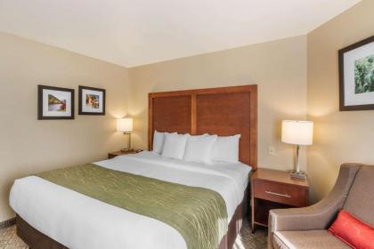 Comfort Inn University - image 13