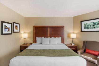 Comfort Inn University - image 14