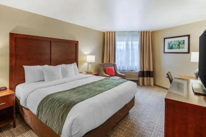 Comfort Inn University - image 2