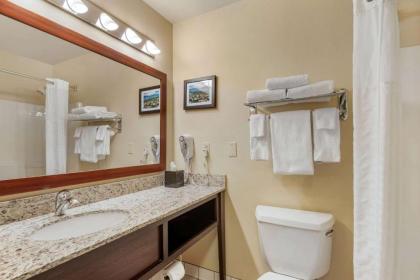 Comfort Inn University - image 3