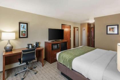 Comfort Inn University - image 4