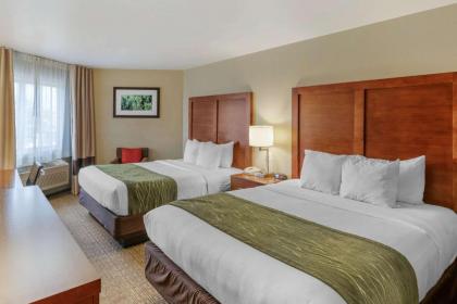 Comfort Inn University - image 8