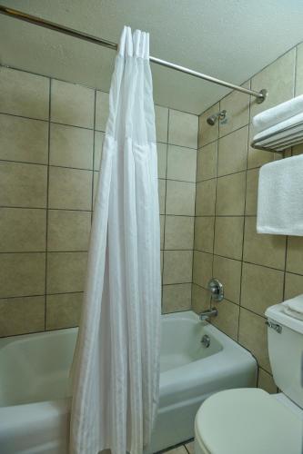 Big Horn Lodge - image 4