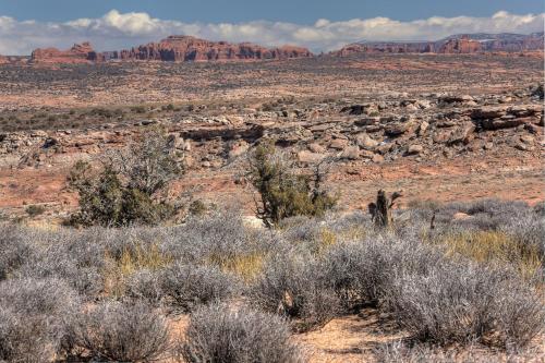 Under Canvas Moab - main image