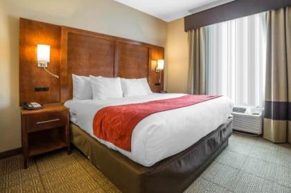 Comfort Suites Moab near Arches National Park - image 2