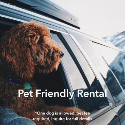 Sleeps 24 Pet Friendly 96 Hour Cancellation Policy Free Bikes - Entrada 590 and 594 - image 31