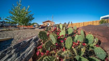 FunStays Glamping Tiny House w Loft Site 7 - image 31
