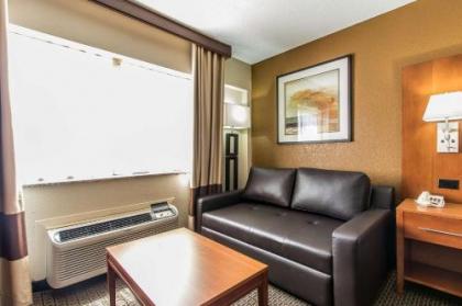 Comfort Inn Mobile - image 3