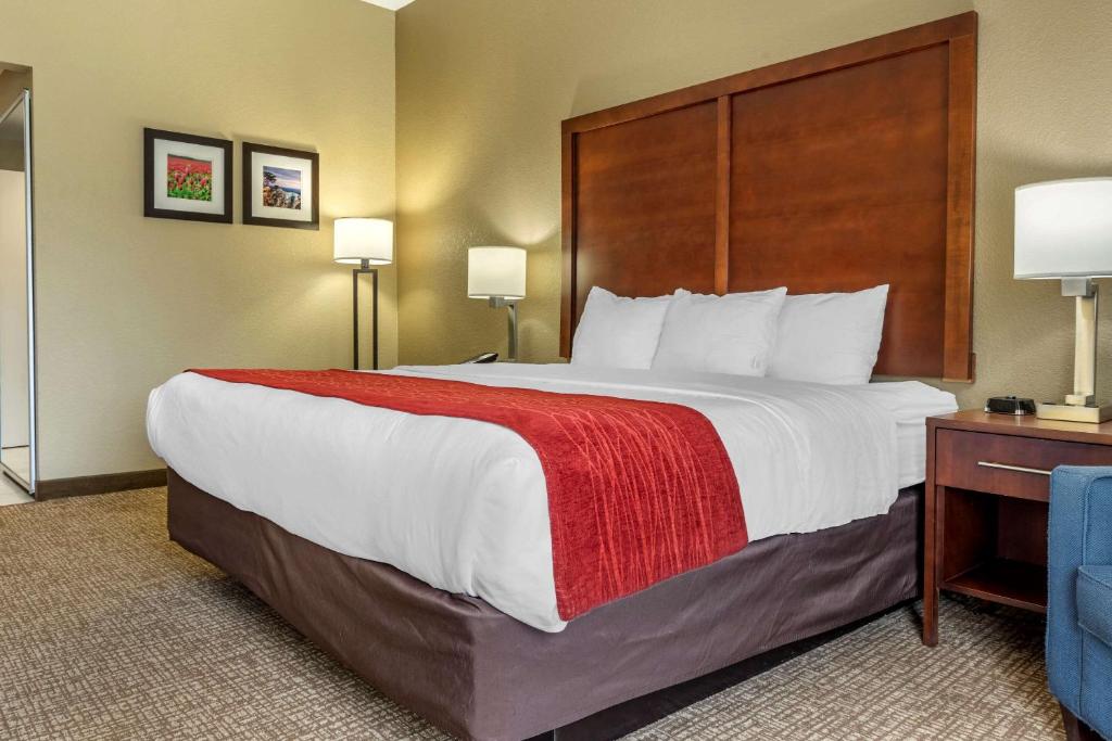 Comfort Inn & Suites Mocksville I-40 - image 4