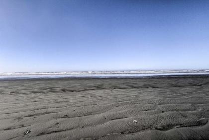 Pacific Beach House with Yard - Walk to the Ocean! - image 4