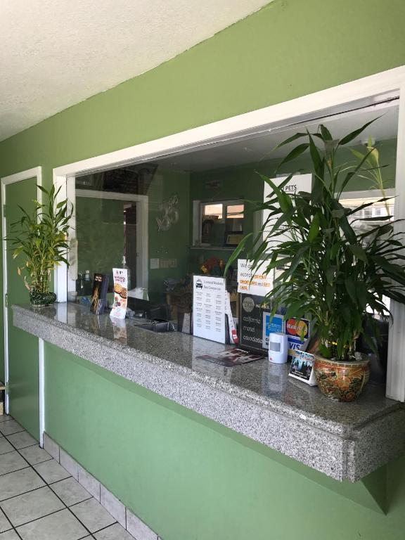 Economy Inn - image 3