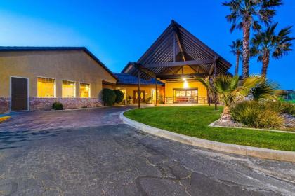 Comfort Inn  Suites California