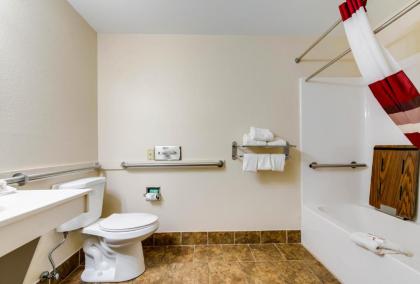 Red Roof Inn & Suites Monee - image 4