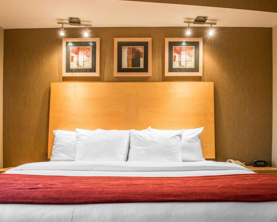 Comfort Suites Monroeville - image 3