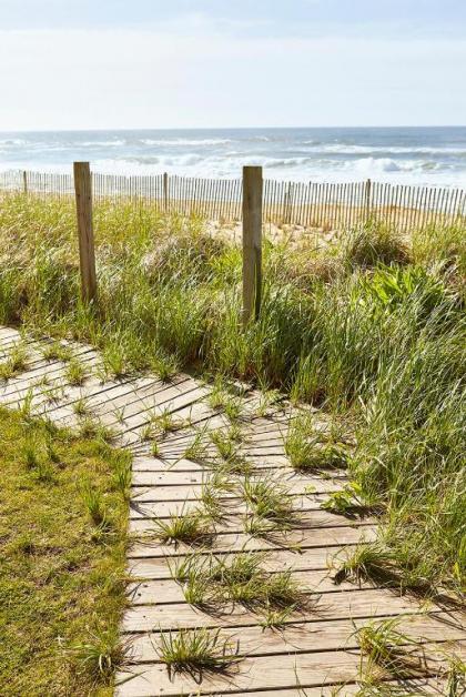 Marram - image 13