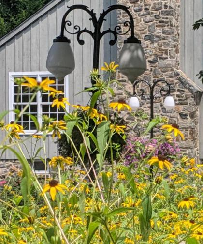 The Inn at Montchanin Village & Spa - image 13