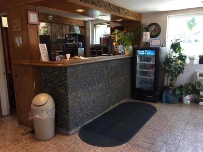 King Lodge Motel - image 3