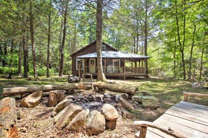 Modern Cabin Retreat on 10 Acres with Trout Stream! - image 1