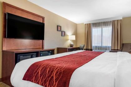 Comfort Inn & Suites Leeds I-20 - image 5