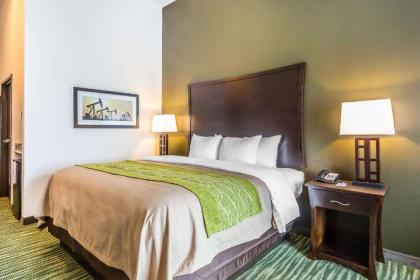 Comfort Inn & Suites Moore - Oklahoma City - image 8