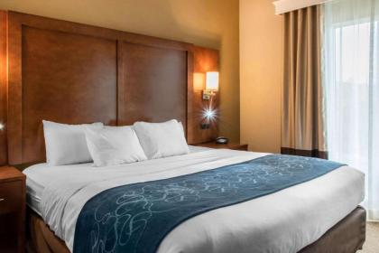 Comfort Suites Scranton near Montage Mountain - image 14