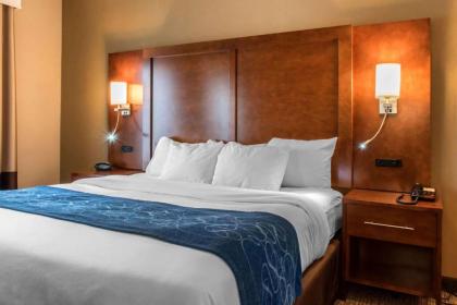 Comfort Suites Scranton near Montage Mountain - image 15