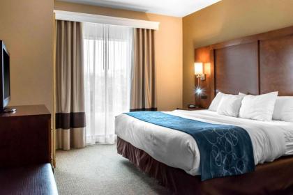 Comfort Suites Scranton near Montage Mountain - image 4