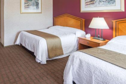 Elite Inn - image 12