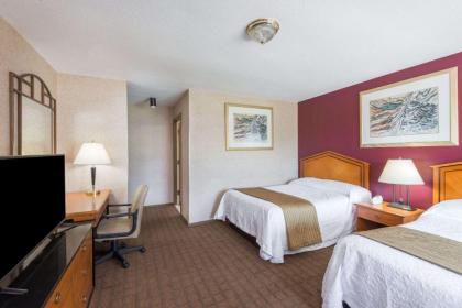 Elite Inn - image 14