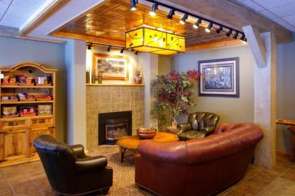 Togwotee Mountain Lodge - image 15