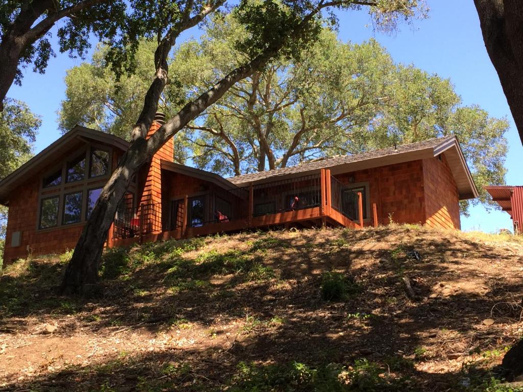 Cottage Creek Vineyards - image 4