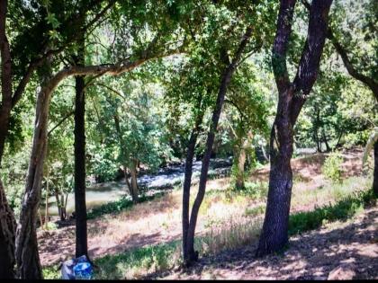 Cottage Creek Vineyards - image 9