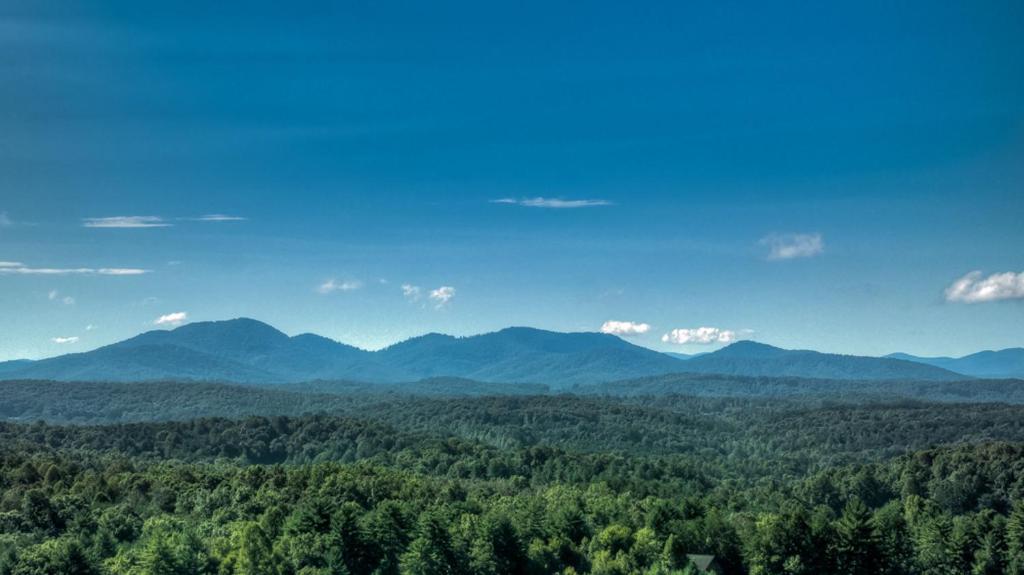 A Beary Nice View by Escape to Blue Ridge - image 2