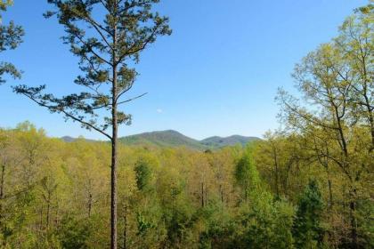 Daze Off by Escape to Blue Ridge - image 11