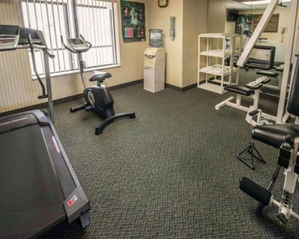 Comfort Inn And Suites - image 10