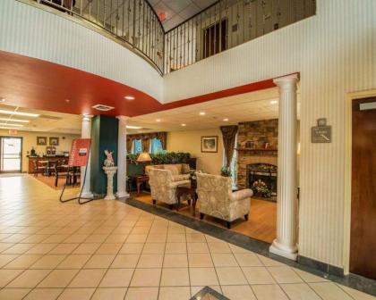 Comfort Inn And Suites - image 4