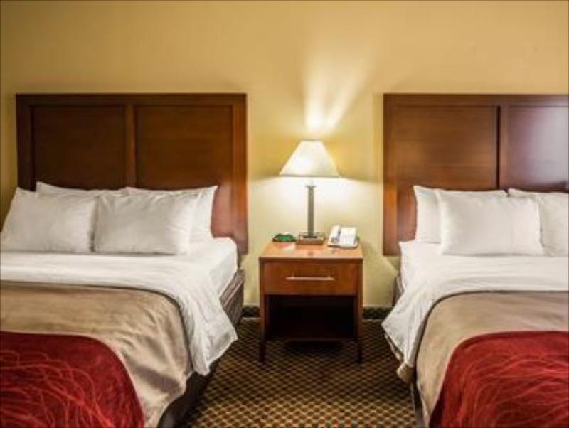 Comfort Inn And Suites - image 7