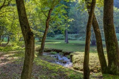 Moss Creek Cabin - image 3