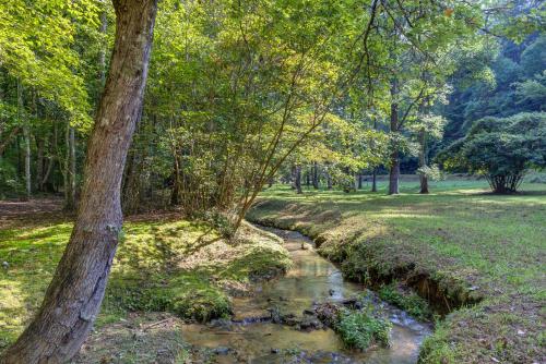 Moss Creek Cabin - image 4