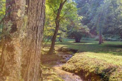 Moss Creek Cabin - image 5