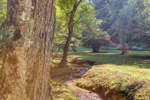 Moss Creek Cabin - image 5