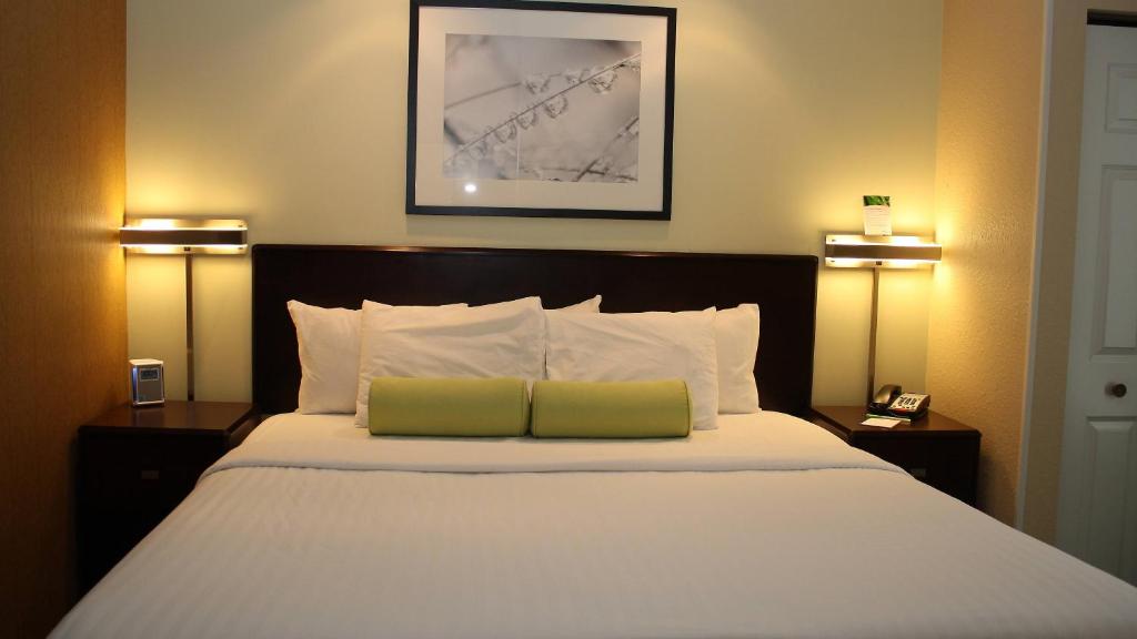 SpringHill Suites Morgantown - image 2