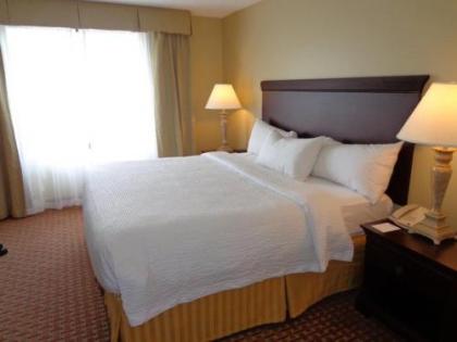 Euro-Suites Hotel - image 14