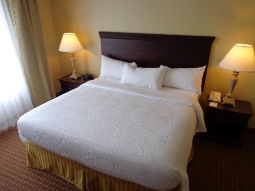 Euro-Suites Hotel - image 7