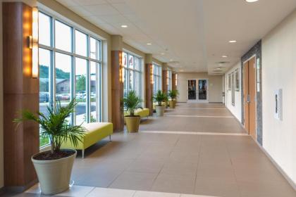 Holiday Inn Morgantown-University Area an IHG Hotel - image 11