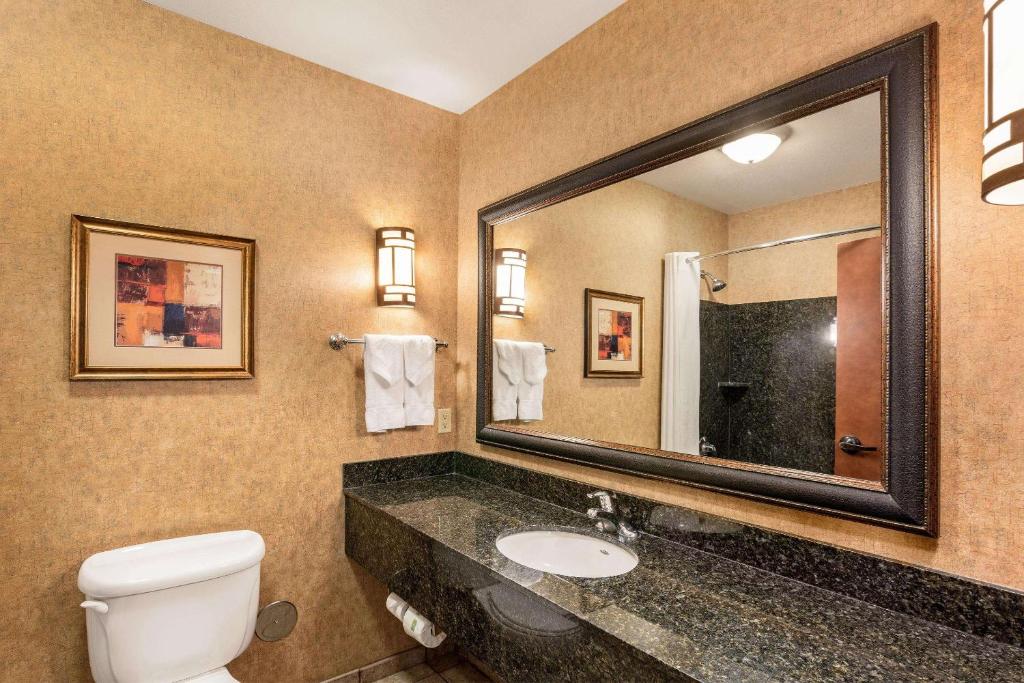 Comfort Suites Moses Lake - image 6
