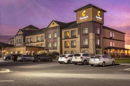 Comfort Suites Moses Lake - image 7